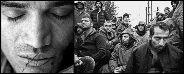 Dying For Europe 2