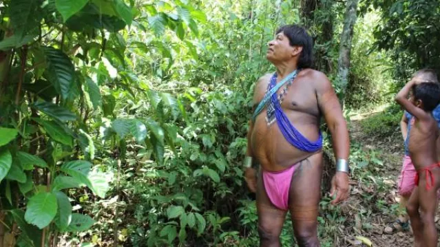 TDF20 Embera 1