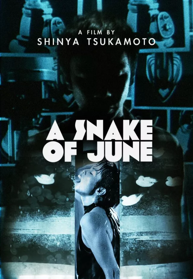 A Snake Of June (2002) D