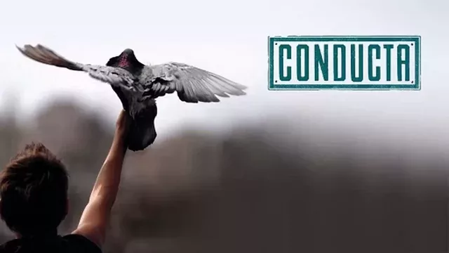 Conducta 2014 12
