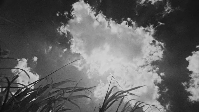 I Am Cuba 1964 46