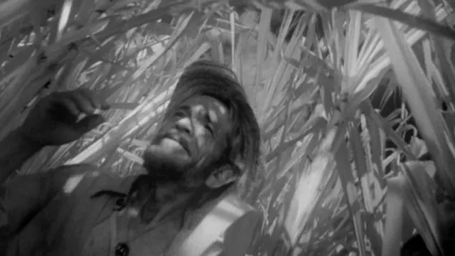 I Am Cuba 1964 56