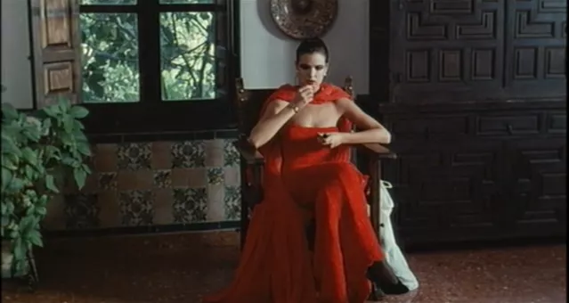 Matador Image6