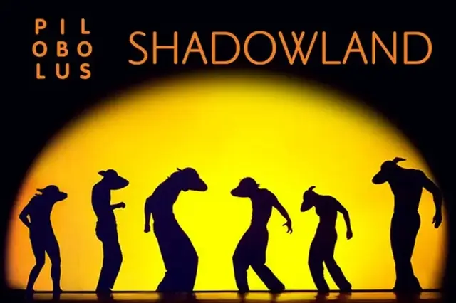 Shadowland 2013 04
