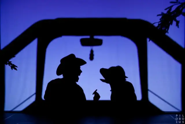Shadowland 2013 12