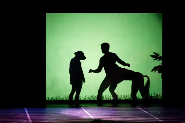 Shadowland 2013 14