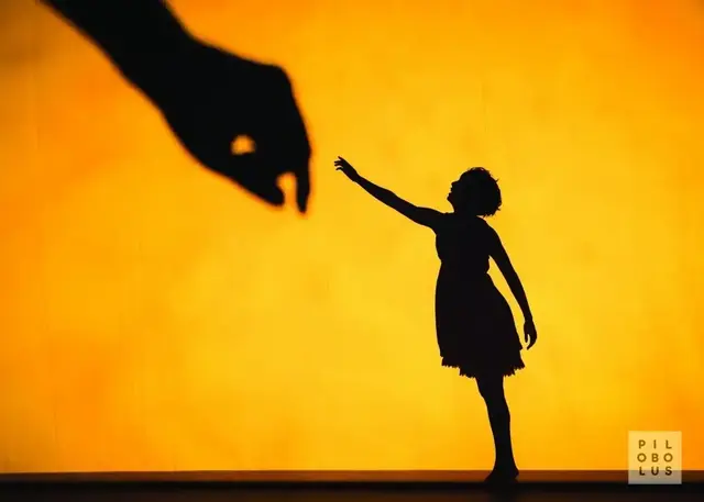 Shadowland 2013 15