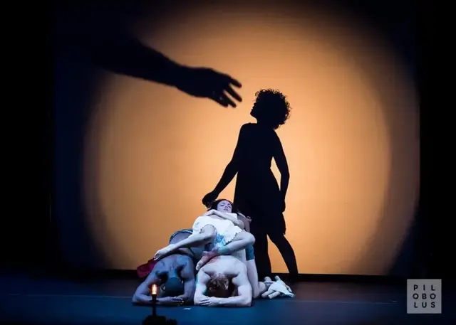 Shadowland 2013 17