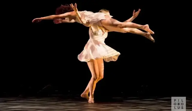 Shadowland 2013 21