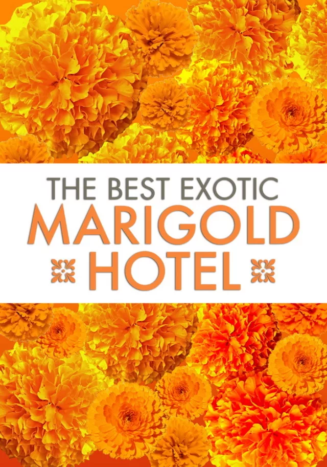 The Best Exotic Marigold Hotel 2011 05