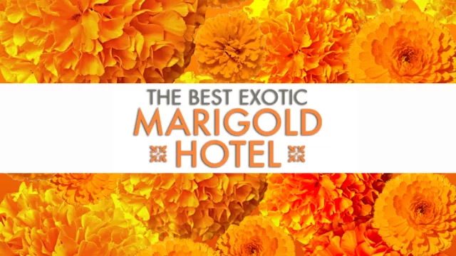 The Best Exotic Marigold Hotel 2011 06