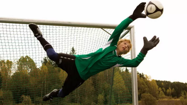The Liverpool Goalie 2010 02