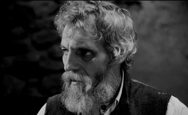 Turin Horse 2011 02