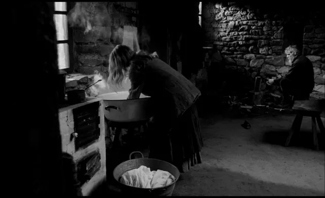 Turin Horse 2011 05