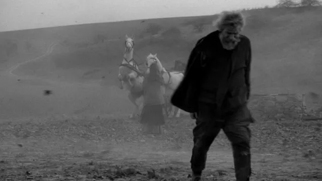 Turin Horse 2011 06