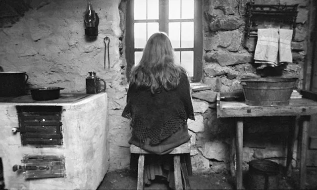 Turin Horse 2011 07