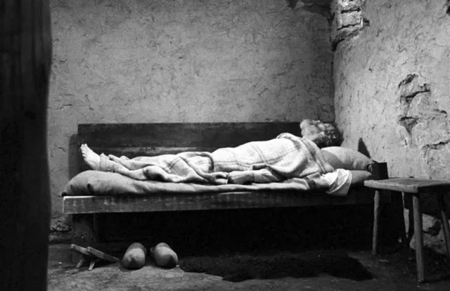 Turin Horse 2011 09