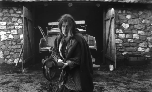 Turin Horse 2011 10