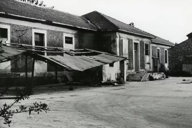 Your Neighbours Son 1981 33